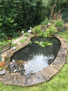 Gallery – Wildlife Ponds - Pond Works