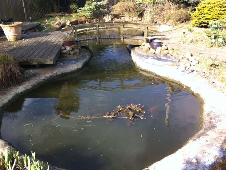 Large koi pond to repair
