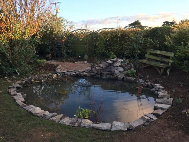 Gallery – Wildlife Ponds - Pond Works