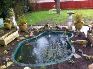 Newly installed large pre-formed fibreglass pond
