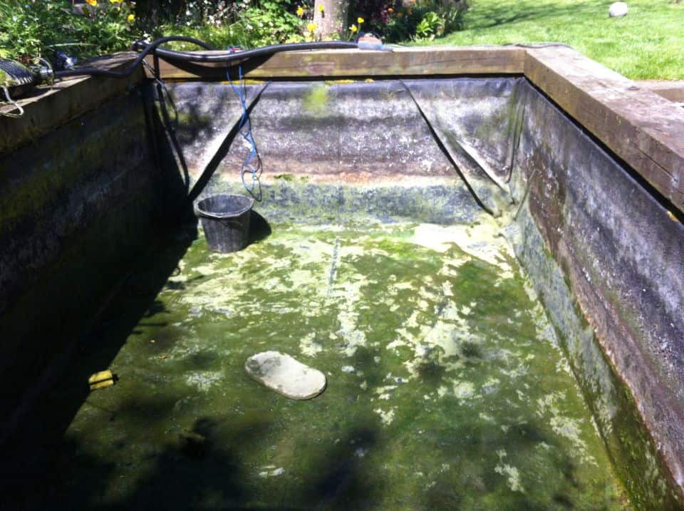 Koi pond emptied to find leaks