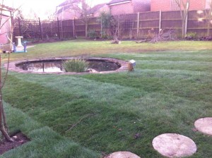 Pond reduction to half size