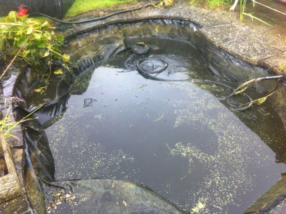 Leaking pond