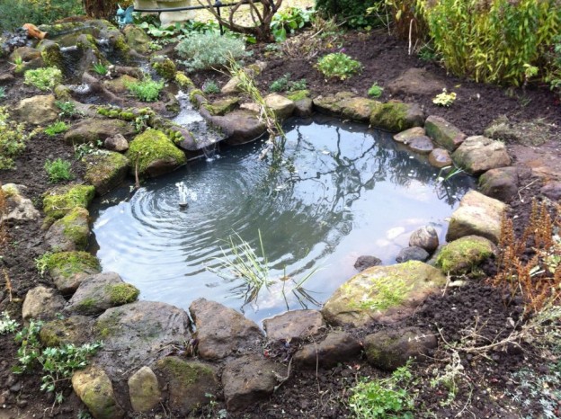 Gallery – Wildlife Ponds - Pond Works