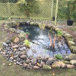 Gallery – Wildlife Ponds | Pond Works