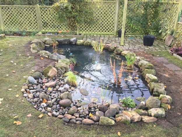 Gallery – Wildlife Ponds - Pond Works