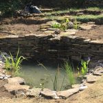 Gallery – Wildlife Ponds | Pond Works