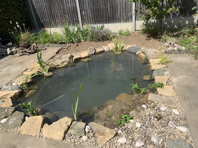 Gallery – Wildlife Ponds - Pond Works